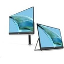 Asus MB249C