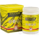 GALVEX KALCIUM karbonát 500 mg + D3 100 tabliet