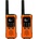 Alecto FR300OE