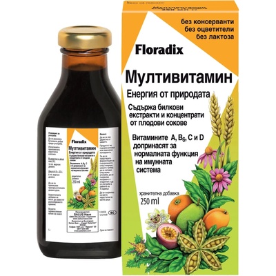 SALUS Мултивитамин, 250 ml, Floradix (2744)