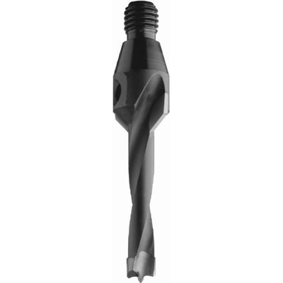 IGM C33710012
