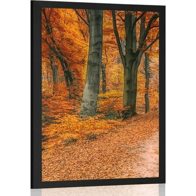 Plakát les v podzimním období - 20x30 white