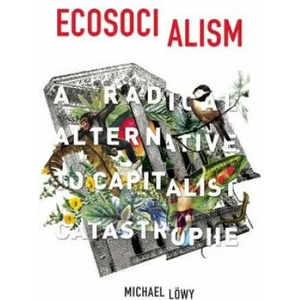 Ecosocialism | Michael Lowy (ISBN: 9781608464715)