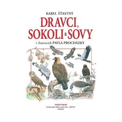 Dravci , sokoli a sovy - Procházka Pavel, Štastný Karel