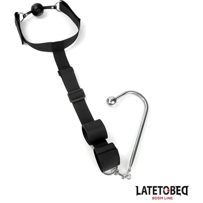 LateToBed BDSM Line Mouth Gag With Cuff And Anal Hook