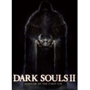 Hry na PS4 Dark Souls 2: Scholar of the First Sin