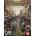 Civilization 4: Warlords
