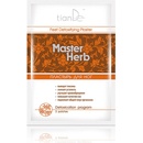 TianDe Master Herb detoxikačná náplasť na nohy 2 ks