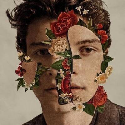 Universal Mendes Shawn: Shawn Mendes - CD (022105)