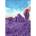 Spin Master Kinetic Sand , The Original Moldable Sensory Play Sand Toys For Kids, Purple, 2 lb. Resealable Bag, Ages 3+
