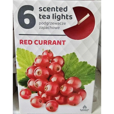 Admit Tea Lights Red currant 6 ks