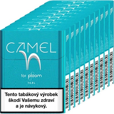 Camel for Ploom Teal karton