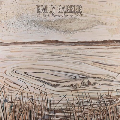 A Dark Murmuration of Words Emily Barker CD