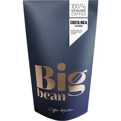 BigBean Costa Rica 100% Arabica 250 g