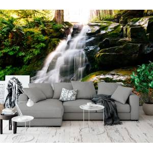 Art Gift Decor Фототапет Скалист водопад