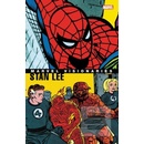 Marvel Visionaries Stan Lee