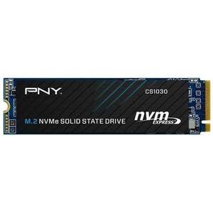 PNY CS1030 250GB M.2 (M280CS1030-250-RB)