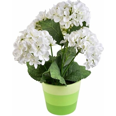 DOMMIO Hortenzia biela 5 kvetov v keramickom kvetináči 33 × 27 cm
