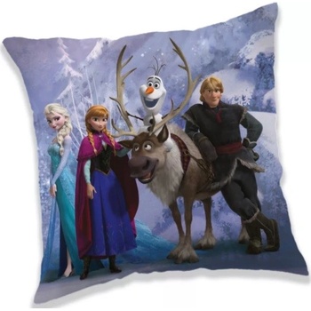 Jerry Fabrics vankúš Frozen 40x40