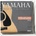 Yamaha guitars FP10