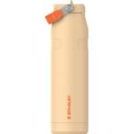 STANLEY 1913 Flip Straw Drinking Bottle with Straw 1.06L - Thermal Mug Cools for 17 Hours - Ice Cold for 4 Days - BPA Free - Leakproof - For Drink Holders - Dishwasher Safe - Orange Sherbert - 100000127150 (1