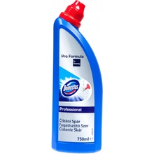 Domestos Professional Čištění spár 750 ml