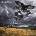 David Gilmour - Rattle That Lock (CD) (0888751232624)