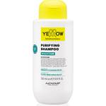 Yellow Scalp Care Purifying Shampoo почистващ шампоан против пърхот 500ml