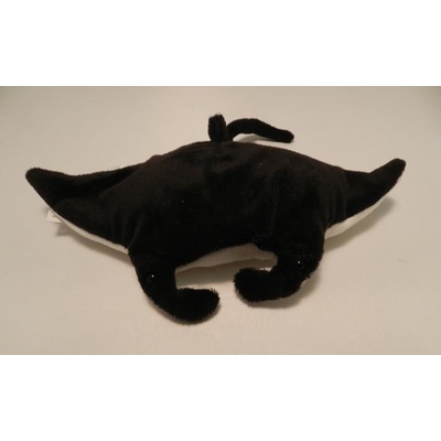 rejnok manta černá 25 cm