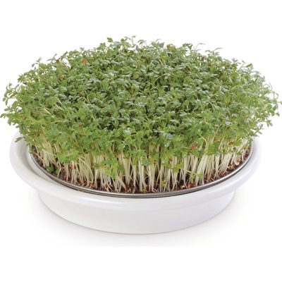 Eschenfelder Miska na klíčení obilovin 16 cm bílá – Zboží Dáma