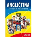 Angličtina stručná mluvnice