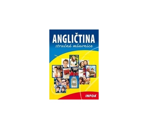 Angličtina stručná mluvnice