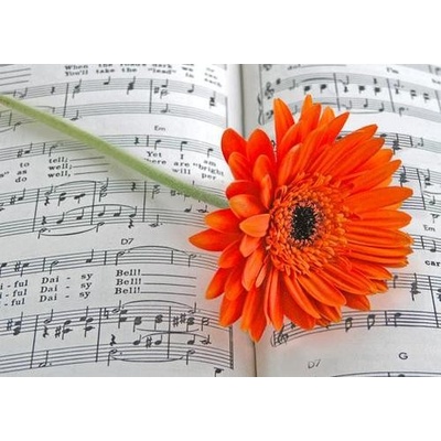 (B) 3D pohľadnica Gerbera