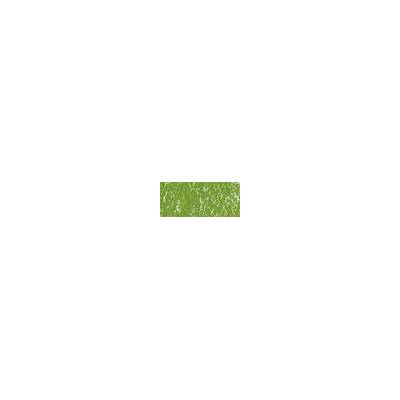 Sennelier suchý pastel 202 leaf green