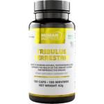 Human Protect Tribulus Terrestris 204 mg | with 98% Saponins [120 капсули]