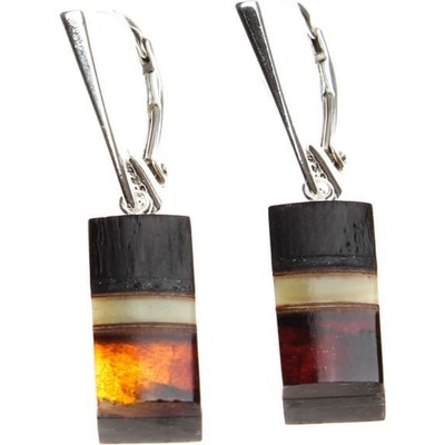 Reblan jantárové náušnice s drevom z kolekcie AMBERWOOD TDNU029