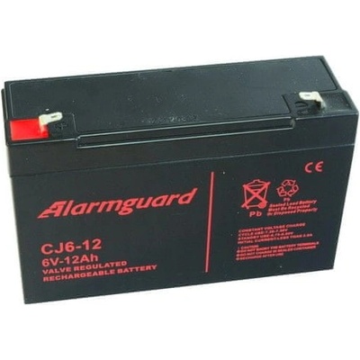 ALARMGUARD 6V 12Ah CJ6-12