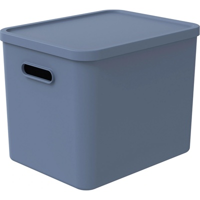 Rotho Úložný box, rovný s víkem, 27 l modrá 37 x 29 x 30 cm
