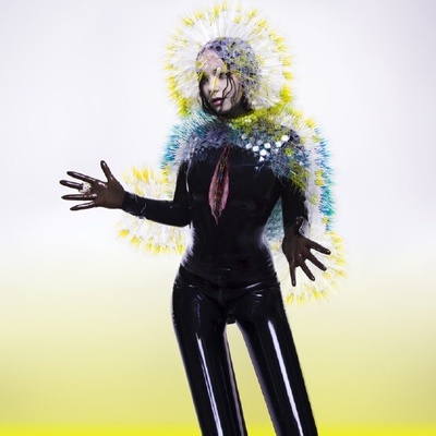 BJORK - VULNICURA