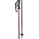 Arcore Wsp 3.1 120