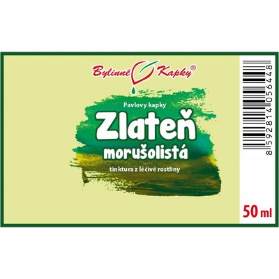 Zlateň morušolistá chryzantéma pavlove bylinné kvapky tinktúra 50 ml