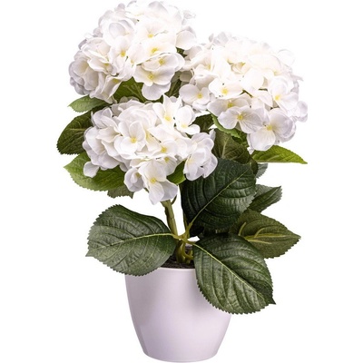Hortenzia biela v bielom kvetináči, 32cm