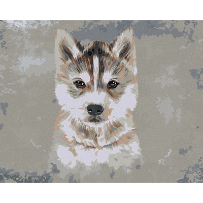 Malování podle čísel Husky na šedém pozadí