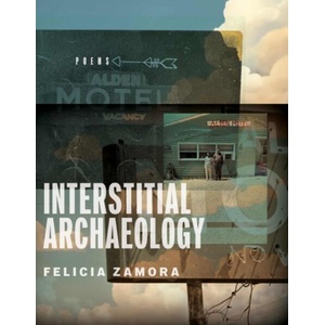 Interstitial Archaeology (ISBN: 9780299353445)
