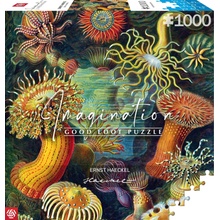 Good Loot 1000 Imagination Ernst Haeckel Stworzenia Morskie