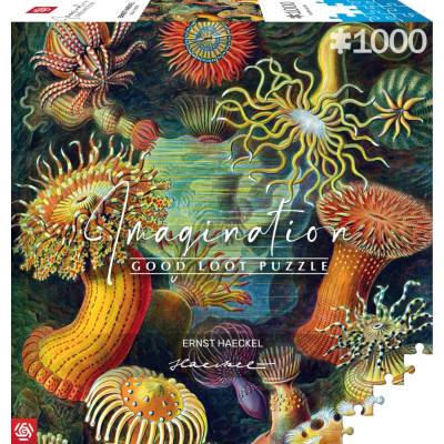 Good Loot 1000 Imagination Ernst Haeckel Stworzenia Morskie