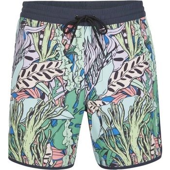 O'Neill Scallop ocean 16'' Swin shorts