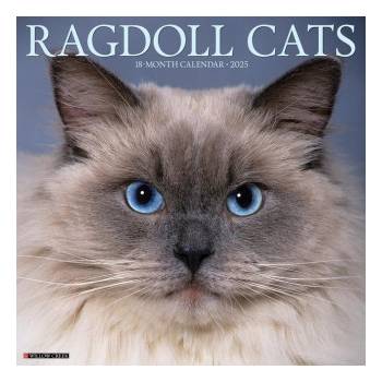 Ragdoll Cats 2026 12 X 12 Wall Calendar
