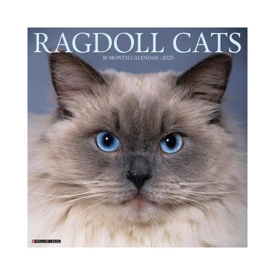 Ragdoll Cats 2026 12 X 12 Wall Calendar