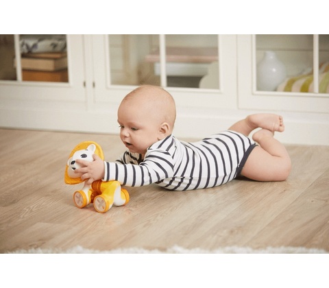 Tiny Love Lev Leonardo